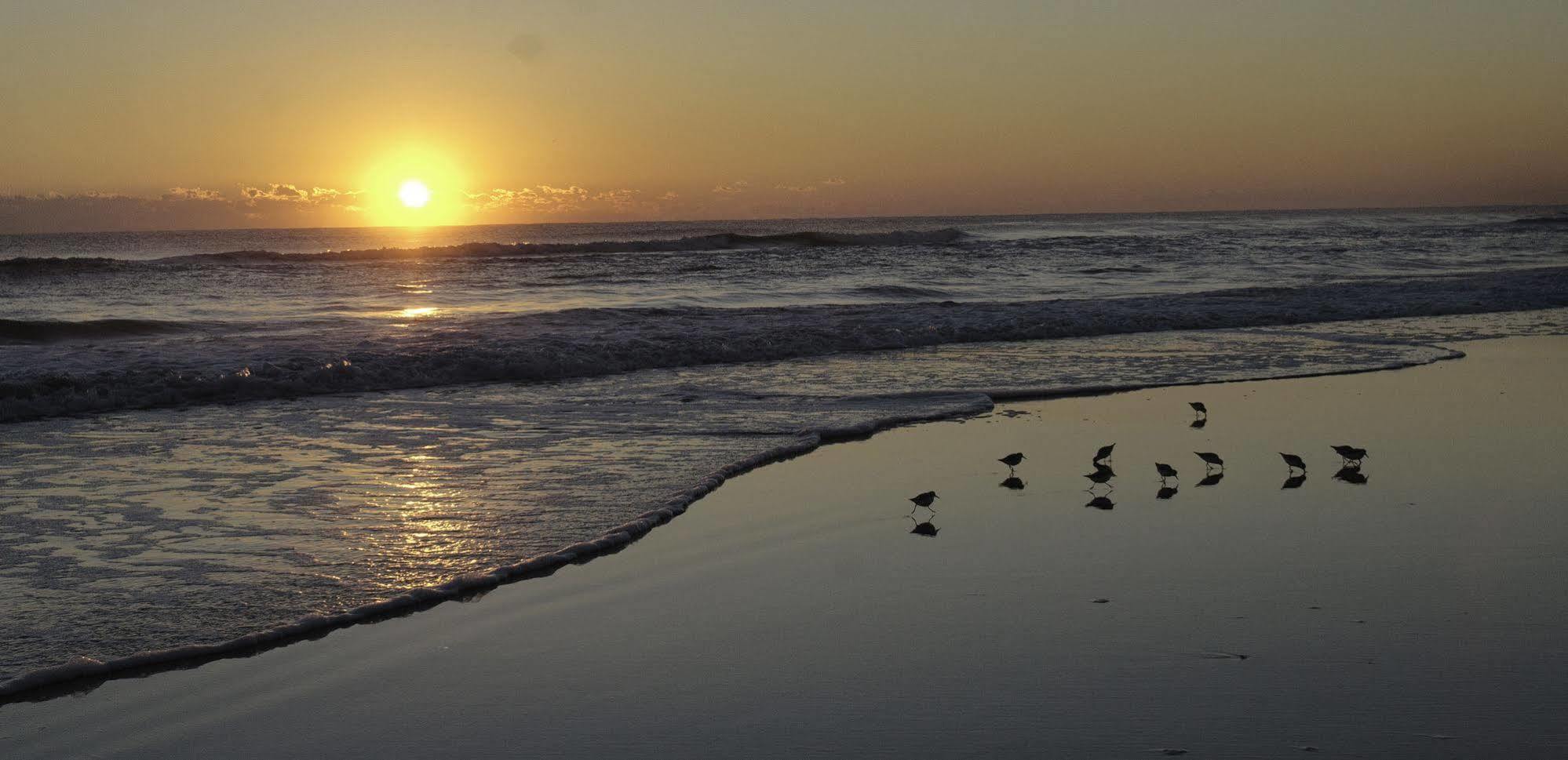 Motel Club Sea Oats By Capital Vacations Daytona Beach Shores Exteriér fotografie